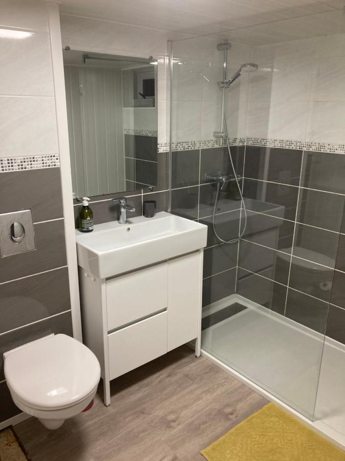 Appartement En Rez-De-Chaussee De Maison Montanay Εξωτερικό φωτογραφία